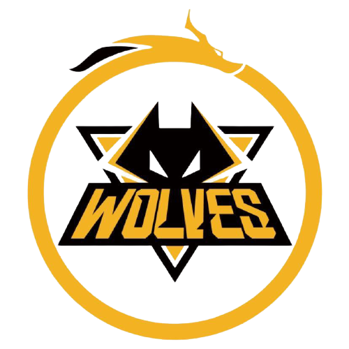 这次引进莱 这次引进莱