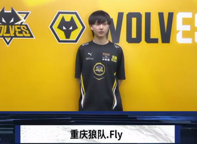 嵌入高风险